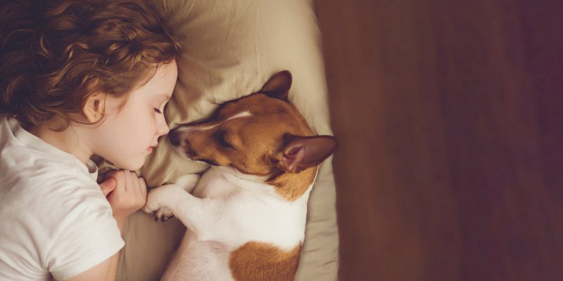 girl and dog asleep